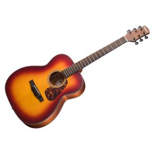 LAG Guitars TRAMONTANE 100 T100ASCE-BLK ラグギターズ エレアコ 送料