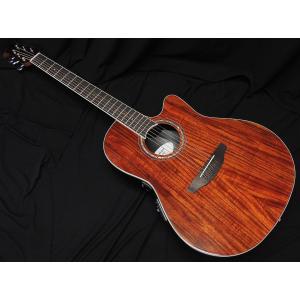Ovation（オベーション） Ovation CE44P-8TQ-G Celebrity Elite Plus