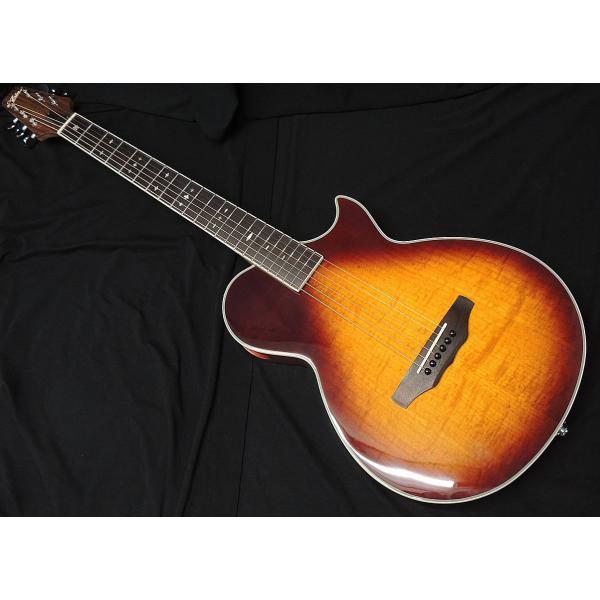 ARIA APE-100 TS 薄胴 エレアコ アリア サイドサウンドホール Fishman エレク...