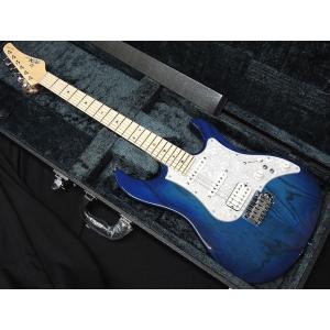 FUJIGEN（フジゲン） FGN FUJIGEN NTE110MMHT NT シンライン