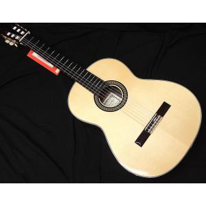 Takamine NPT-110 エレアコ/タカミネ/店頭/他モール併売《楽器・山城店