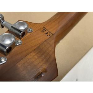 AriaProII MAC-DLX STBR ...の詳細画像4