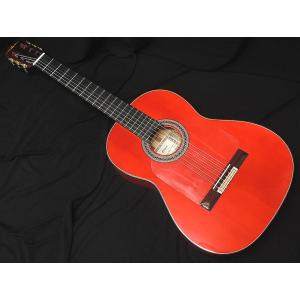 Daisy Rock デイジーロック Pixie Acoustic Guitar， Pastel Purple