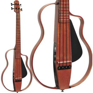 Natasha NBSG Nylon Natural ナターシャ 次世代スマートギター