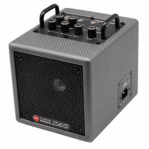 Phil Jones Bass PJB NANOBASS X4C Carbon Silver カーボン シルバー プロ仕様小型ベースアンプ モバイルバッテリー対応 限定カラー