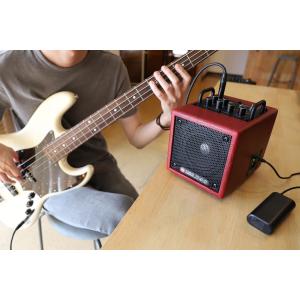 Phil Jones Bass PJB NAN...の詳細画像5