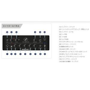 Phil Jones Bass PJB Dou...の詳細画像3