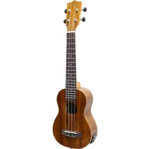 Takamine CT-4BII PTUプリアンプ 送料無料 新品 タカミネ交換用