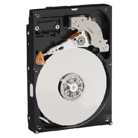 Western Digital 250 GB AV 100 Mb/s 7200 RPM 8 MB C...