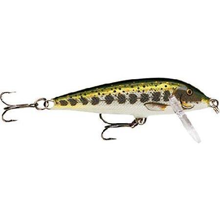 Rapala(ラパラ) ミノー カウントダウン ユニバーサルカラー 3cm 4g マドラー MD C...