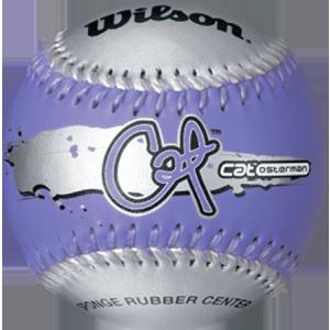 Wilson Cat Osterman Signature Series (3) Teeball Set｜awa-outdoor