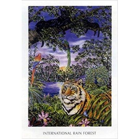 International Rain Forest by Jan Law 24x36 Art Pri...
