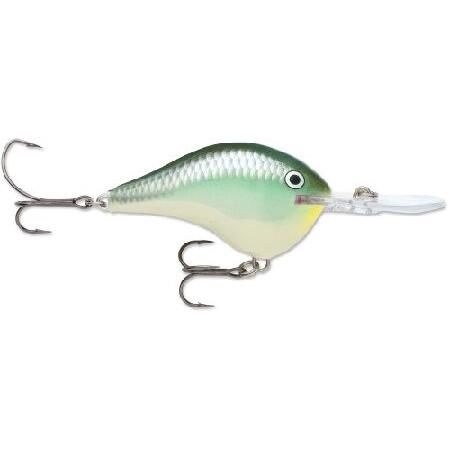 Rapala DT Metal SS 20 フィッシングルアー