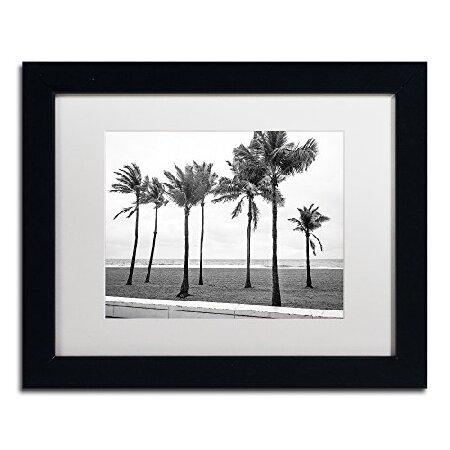 Trademark Fine Art Florida BWビーチパーム、Preston Artwor...