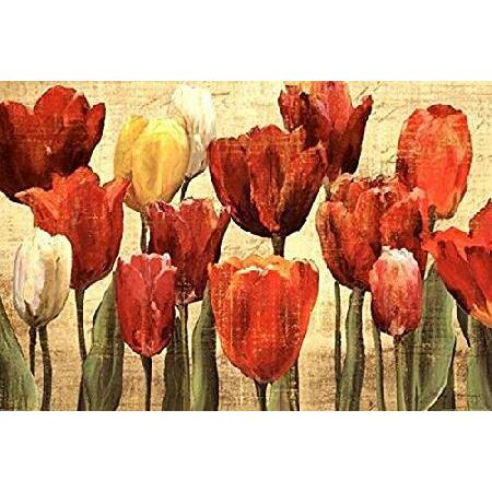Buyartforless チューリップファンタジー オン クリーム マリリン・ヘグマン 36x24...