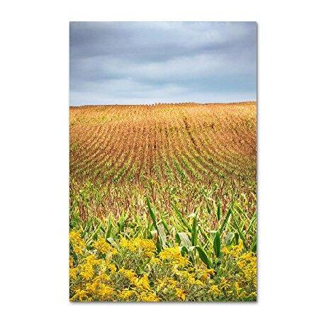 商標Fineアート12 x 19 " Corn Field 22x32 JS0038-C2232GG