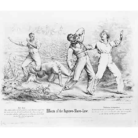 Fugitive Slave Law Poster Print by Science Source ...