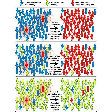 Herd Immunity Poster Print by Science Source (18 x...