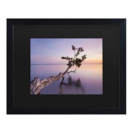 Trademark Fine Art Water Tree XV by Moises Levy, M...