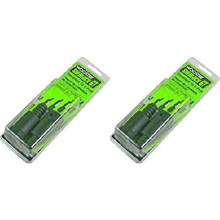 Wooster Brush R042 シャーロック GT 変換チップ 2個パック グリーン R042...