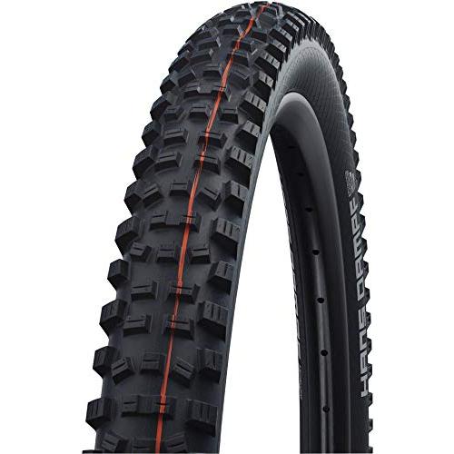 SCHWALBE - Hans Dampf All Terrian and All MTB チューブ...