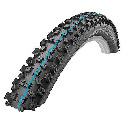 Schwalbe - Hans Dampf All Terrian and All MTB チューブ...