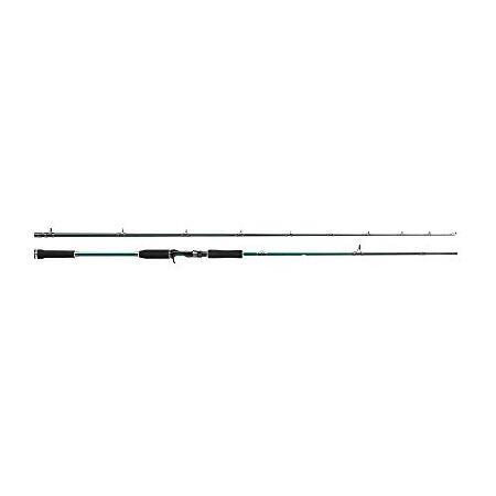 Abu Garcia Beast Pro Power Pike Baitcasting Rod - ...