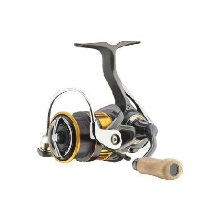 ダイワ(DAIWA) ムーリネットスピニング シルバークリーク X Lt 2022 2500 S X...