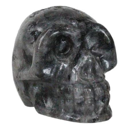 Ebros Gift Metaphysical Healing Crystal Black Labr...