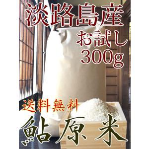 米 300g お米 淡路島 鮎原米 キヌヒカリ 2023年新米 鮎原産100%精米 送料無料 お試し ポイント消化