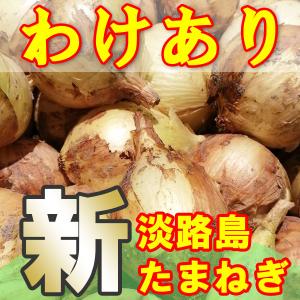 新たまねぎ　淡路島　送料無料　2023年産　特産　玉ねぎ　10kg　わけあり