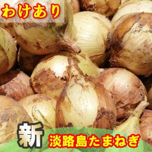 訳あり 送料無料 たまねぎ 2kg 新たまねぎ 2024年産 淡路島 玉ねぎ わけあり｜awabeji