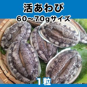 生きているから肝までお刺身品質 活あわび 60 70gサイズ 1粒 Sa あわび屋 マルサ 通販 Yahoo ショッピング