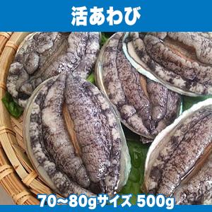 生きているから肝までお刺身品質 活あわび 70〜80gサイズ 500g｜あわび屋 マルサ