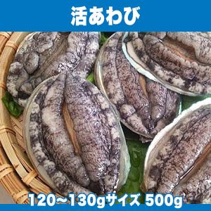 生きているから肝までお刺身品質 活あわび 120〜130gサイズ 500g