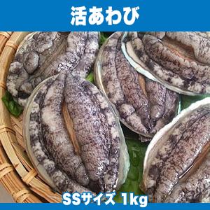 生きているから肝までお刺身品質 活あわび SSサイズ 1kg