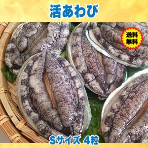 生きているから肝までお刺身品質 活あわび Sサイズ 4粒｜awabiyamarusa