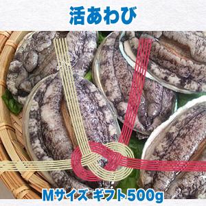 生きているから肝までお刺身品質 活あわび Mサイズ ギフト500g｜awabiyamarusa