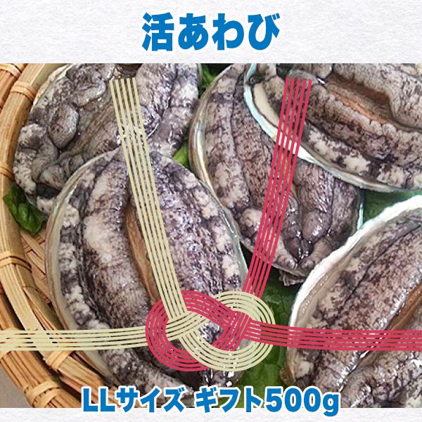 生きているから肝までお刺身品質 活あわび LLサイズ ギフト500g