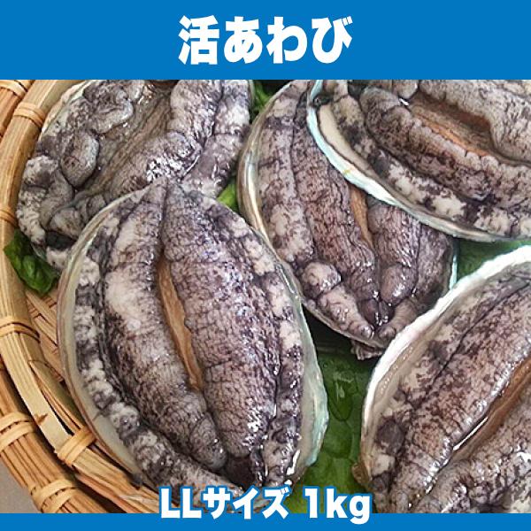生きているから肝までお刺身品質 活あわび LLサイズ 1kg