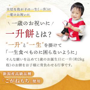 一升餅 1歳 お祝い セット 小分け 将来の才...の詳細画像1