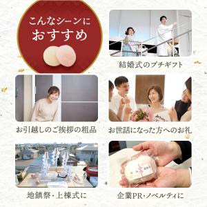 イベント 引っ越し ご挨拶 企業PR ロゴ入り...の詳細画像5