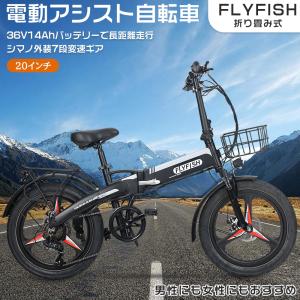 折り畳み自転車 20インチ アシスト自転車 型式認定 公道走行 折り畳み自転車 20インチ アシスト自転車 型式認定 公道走行