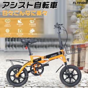 スウィツスポート 20型折畳み自転車 SW-M20 : Drink&Dream D-Park