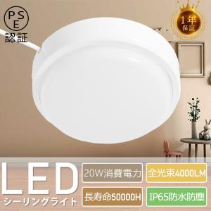 ODELIC（オーデリック） シャンデリア 【OC006487BR】【OC 006 487BR