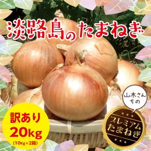 淡路島　玉ねぎ　訳あり　１０kg×２箱　２０キロ　仕入れ　業務用　2019年産　【サイズお任せ】　送料無料　たまねぎ　たまねぎ　淡路産玉ねぎ　淡路　たまねぎ