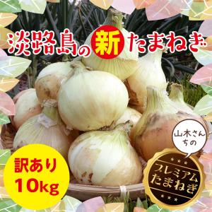 淡路島　新玉ねぎ　訳あり　１０kg　2020年産　送料無料　【サイズおまかせ】　淡路のたまねぎ　たまねぎ　淡路産　淡路島産　新玉　産地直送