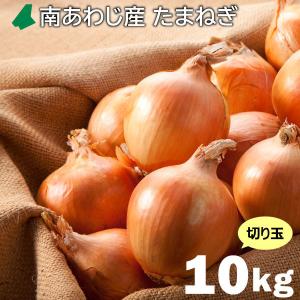 ［淡路島産］淡路島南あわじ産玉ねぎ/切り玉10kg