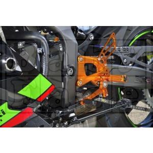 ベビ子 BabyFace STEP KIT KAWASAKI ZX−25R