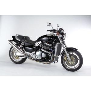 ACTIVE アクティブ サブフレーム バフ仕上げ TYPE-2 GPZ750R/GPZ900R